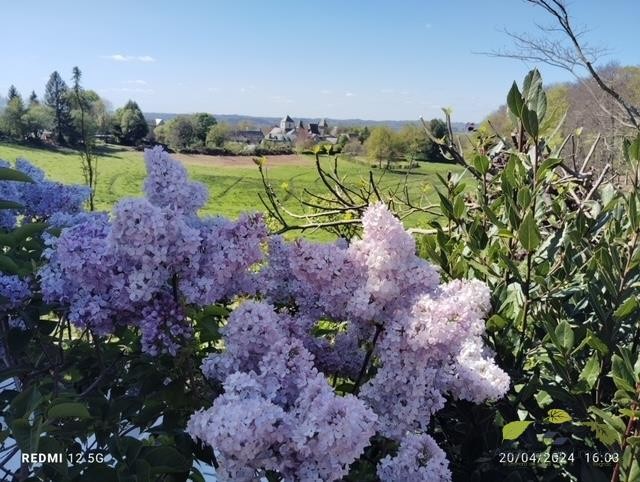 Vente Maison à Affieux 6 pièces