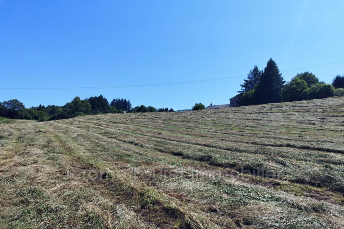 Vente Maison à Madranges 9 pièces