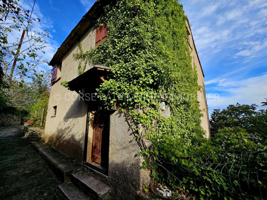 Vente Maison à Brando 6 pièces