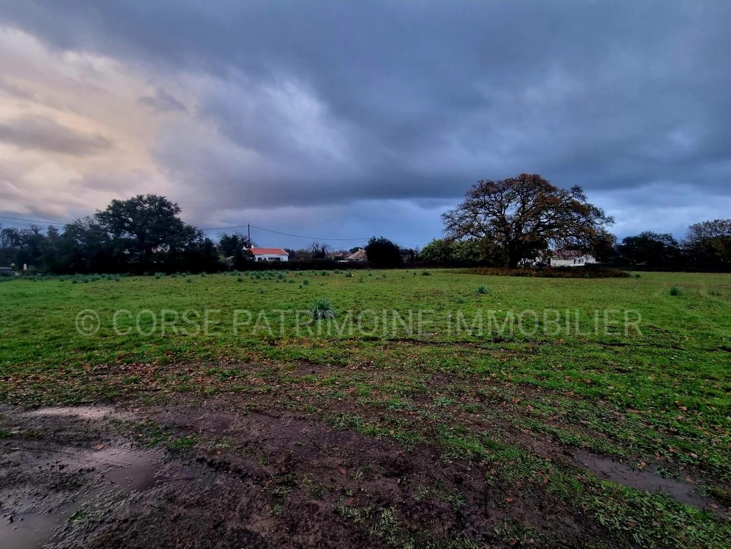 Vente Terrain à Prunelli-di-Fiumorbo 0 pièce