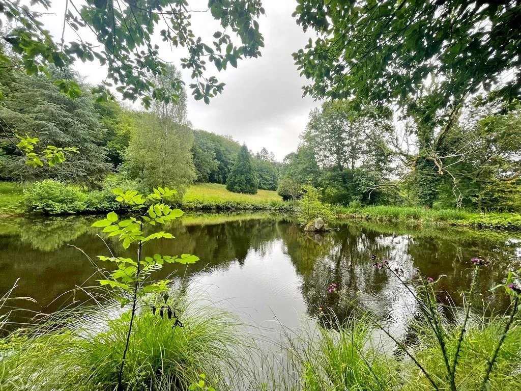 Vente Terrain à Brassy 0 pièce