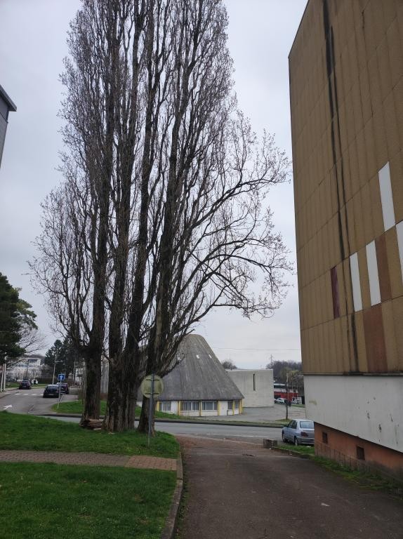 Vente Garage / Parking à Bethoncourt 0 pièce