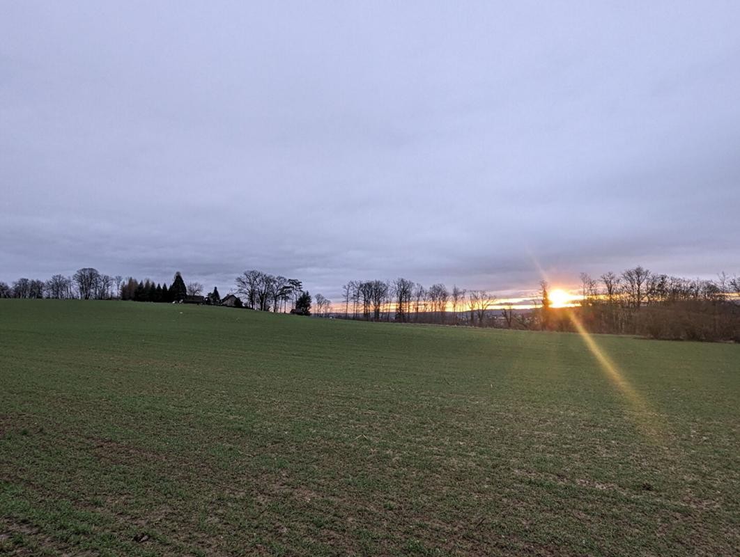 Vente Maison à l'Isle-sur-le-Doubs 11 pièces