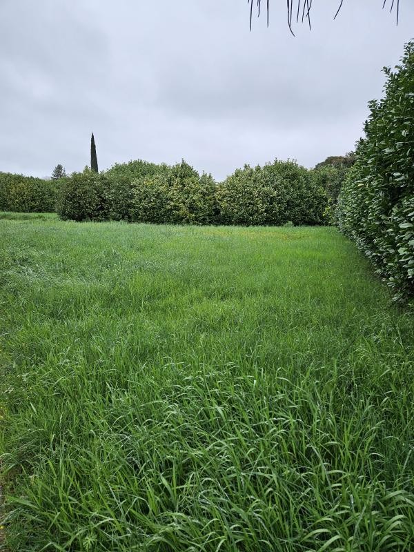 Vente Terrain à Loriol-sur-Drôme 0 pièce