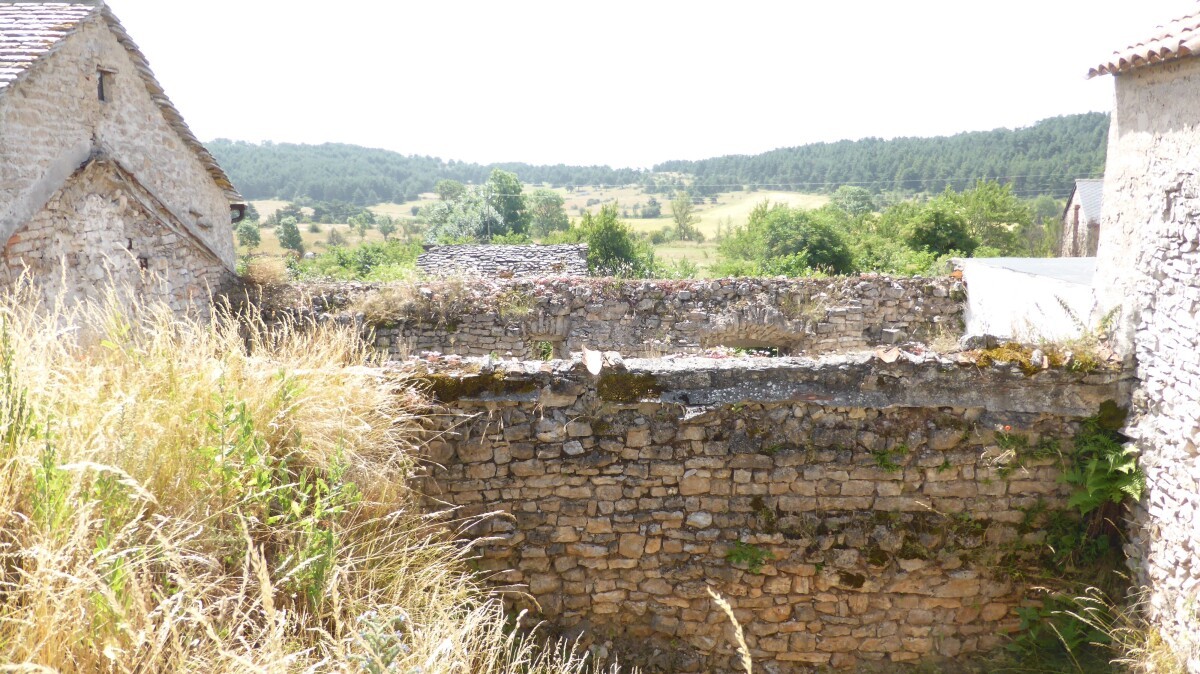 Vente Maison à Veyreau 2 pièces