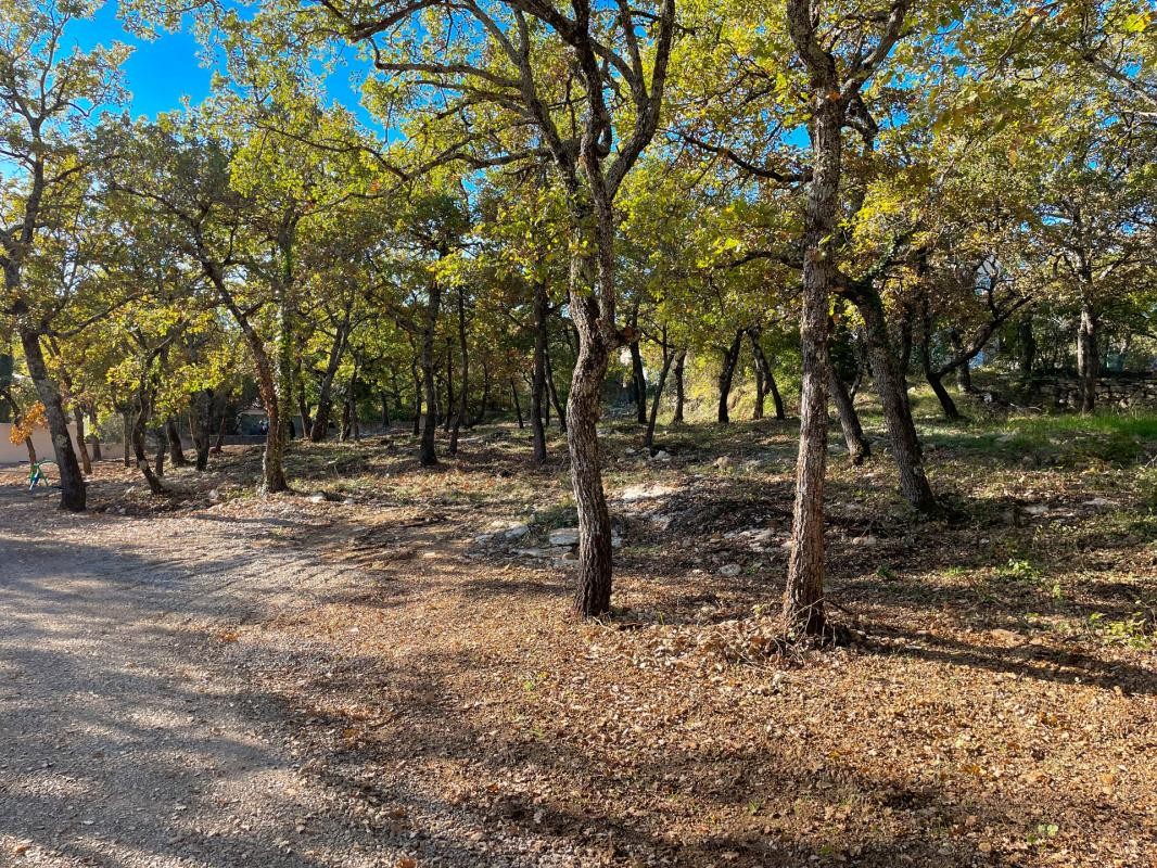 Vente Terrain à Forcalquier 0 pièce