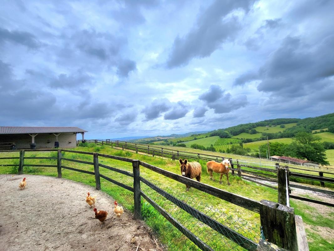 Vente Maison à Sainte-Colombe-de-Villeneuve 10 pièces