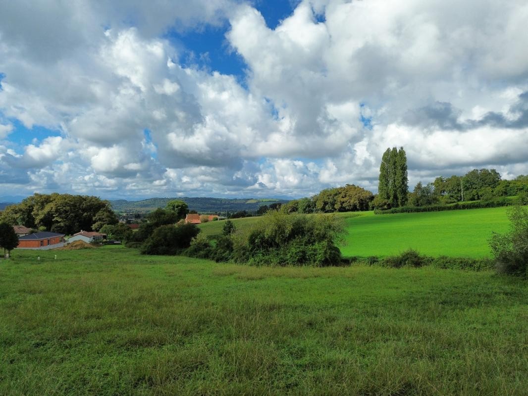 Vente Terrain à Sauveterre-de-Béarn 0 pièce