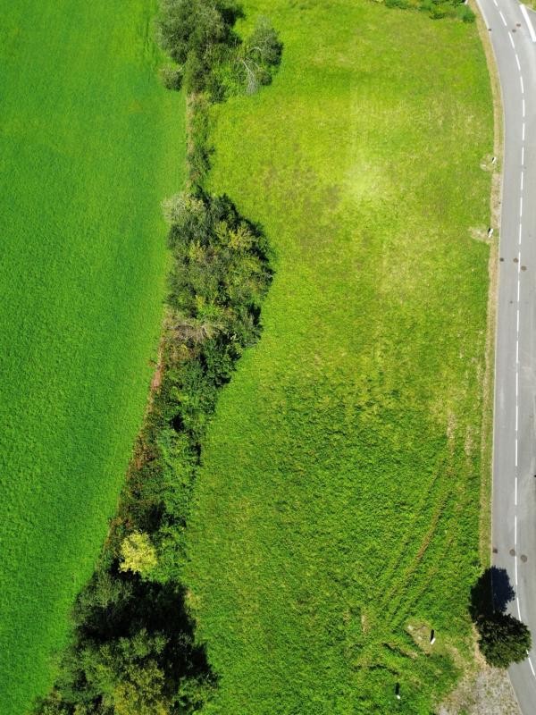 Vente Terrain à Sauveterre-de-Béarn 0 pièce