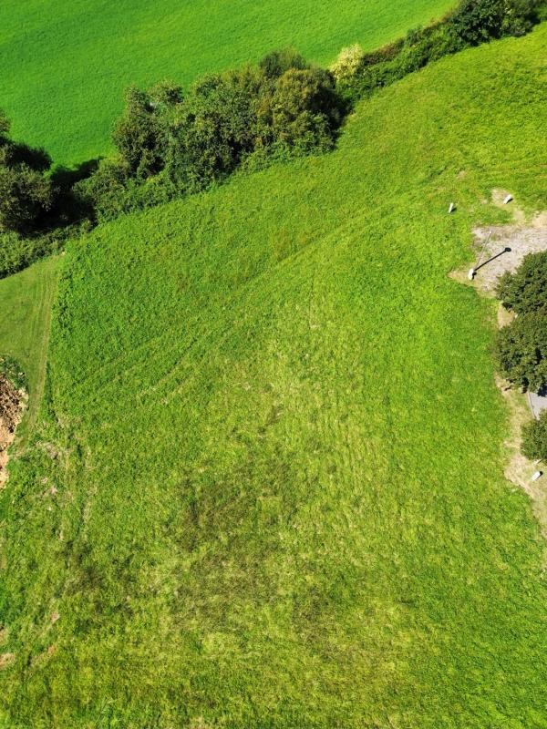 Vente Terrain à Sauveterre-de-Béarn 0 pièce