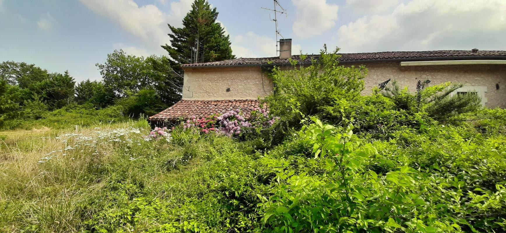 Vente Maison à Cornille 7 pièces