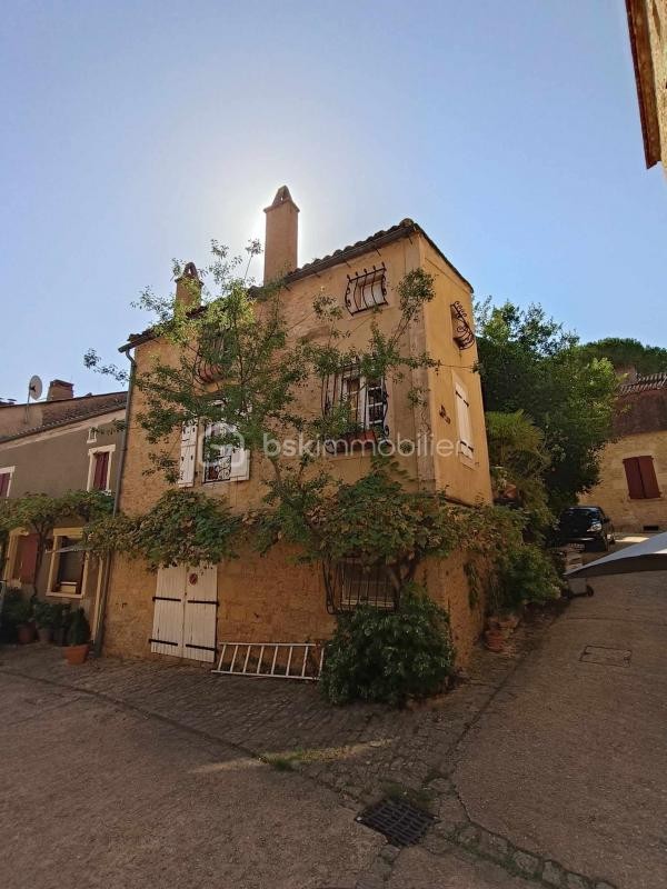 Vente Maison à Belvès 11 pièces