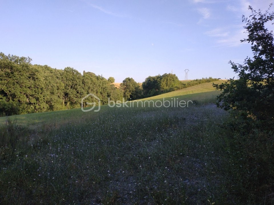 Vente Terrain à Albi 0 pièce