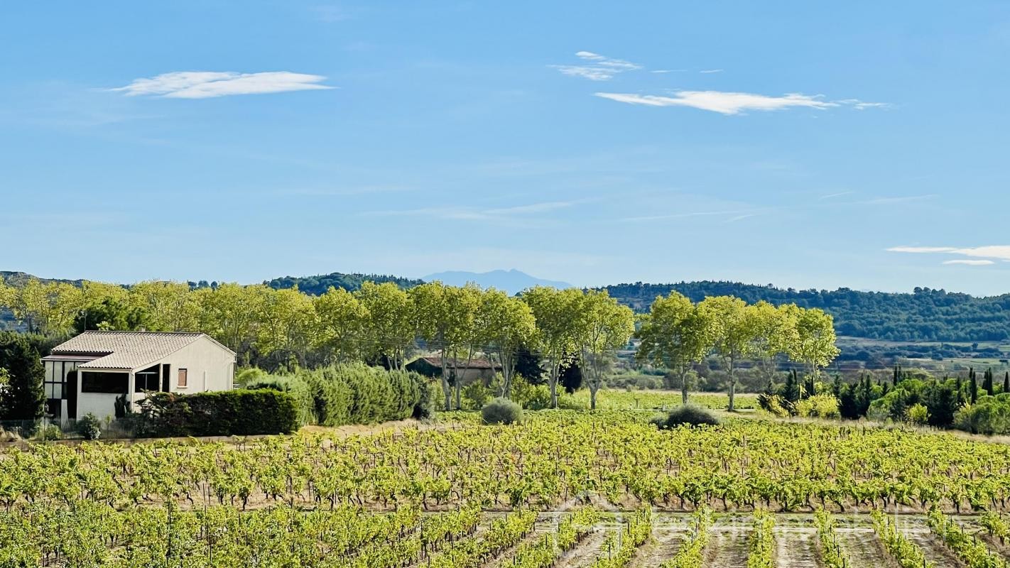 Vente Maison à Pouzols-Minervois 9 pièces