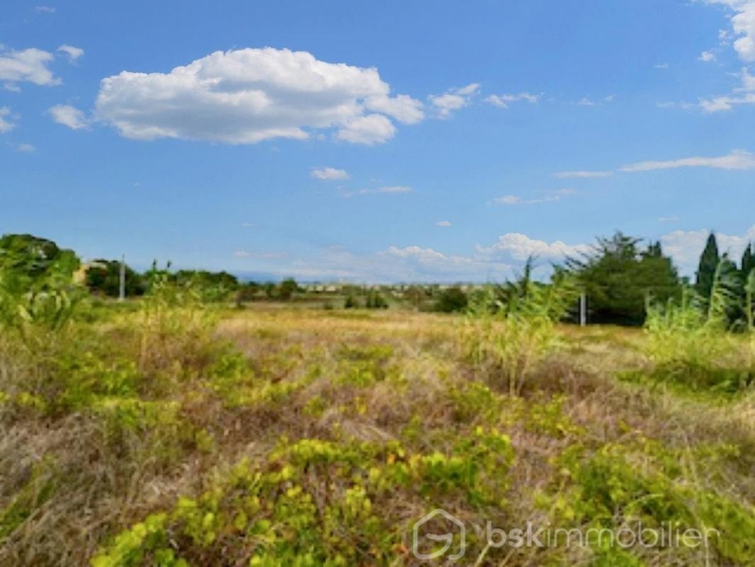 Vente Terrain à Saint-Pons-de-Mauchiens 0 pièce