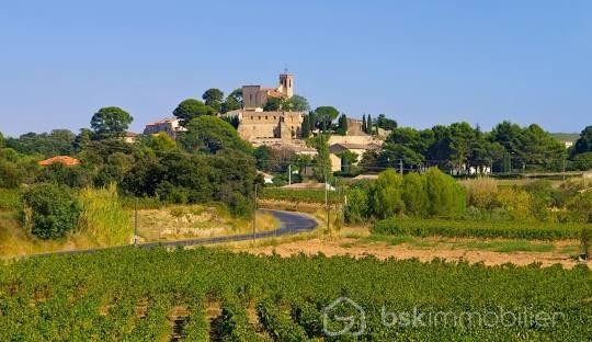 Vente Terrain à Saint-Pons-de-Mauchiens 0 pièce