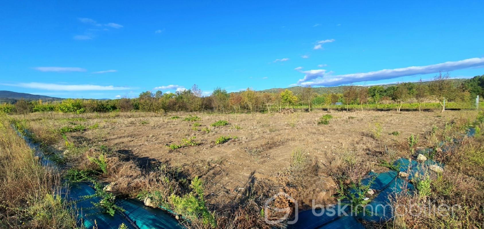 Vente Terrain à Estagel 0 pièce