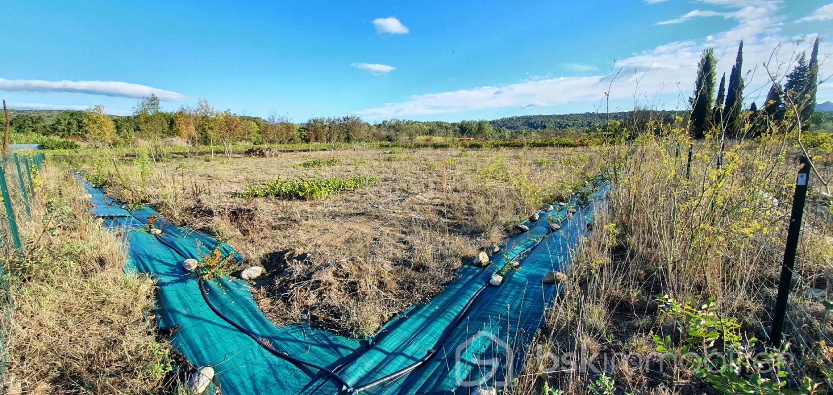 Vente Terrain à Estagel 0 pièce