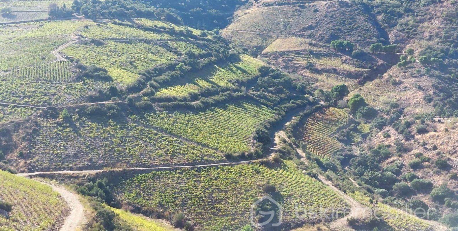 Vente Terrain à Banyuls-sur-Mer 0 pièce