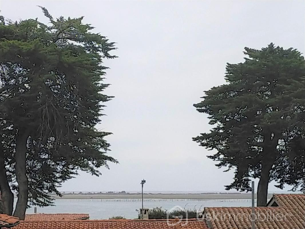 Vente Maison à Lège-Cap-Ferret 8 pièces