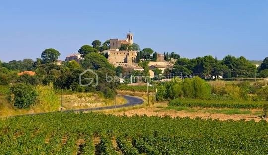 Vente Terrain à Saint-Pons-de-Mauchiens 0 pièce