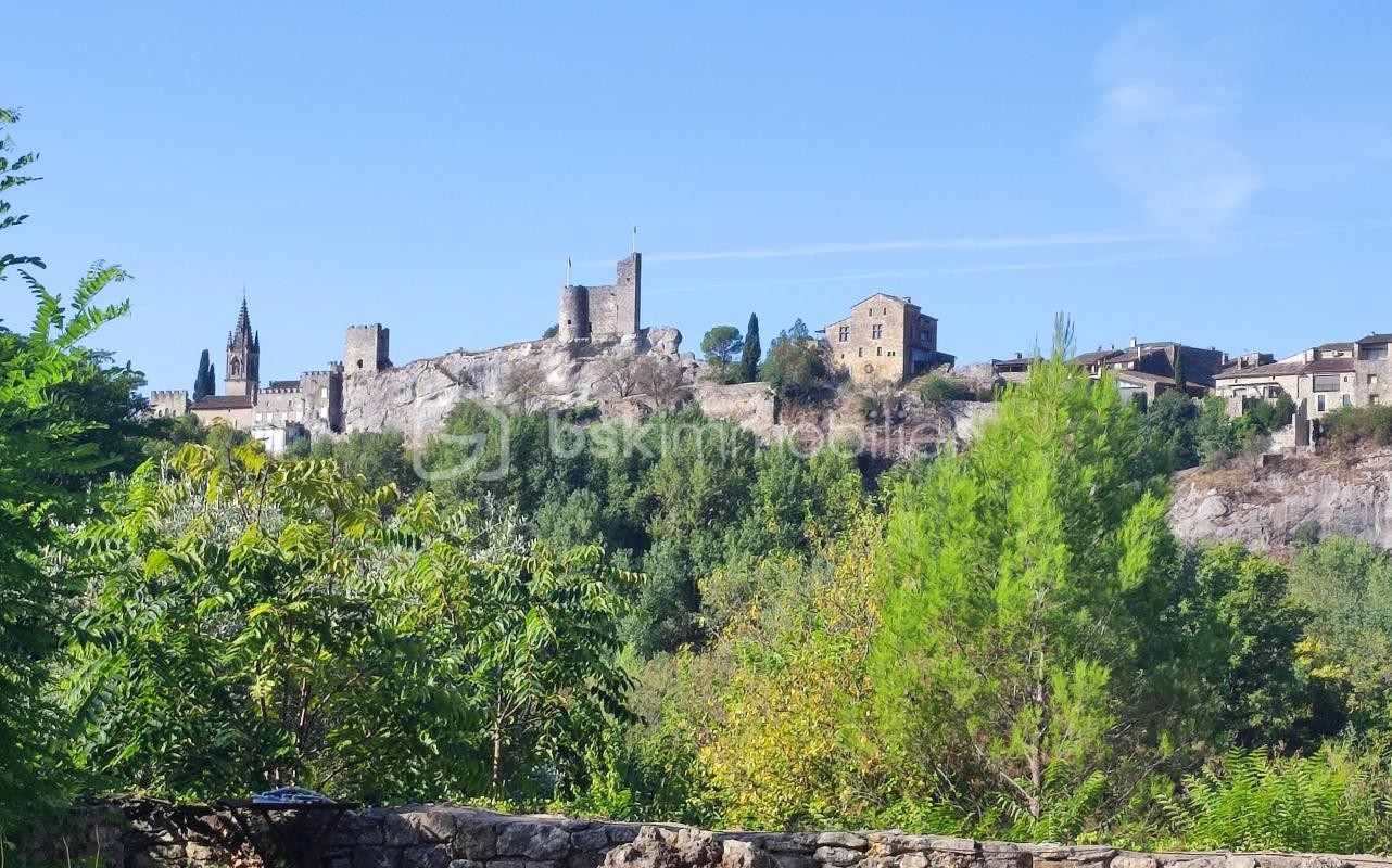 Vente Maison à Saint-Martin-d'Ardèche 22 pièces