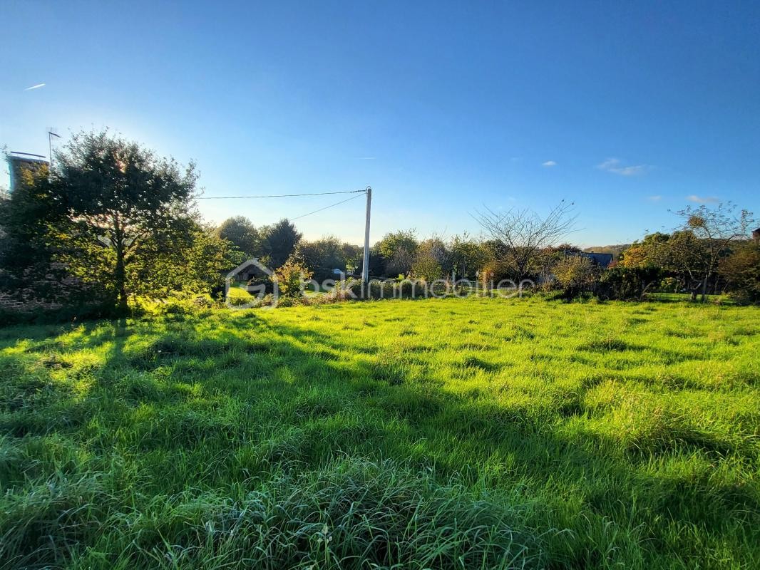 Vente Terrain à Saint-Brice-de-Landelles 0 pièce