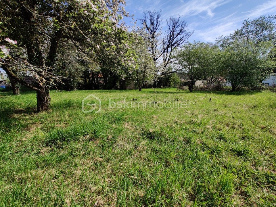 Vente Terrain à Vouneuil-sous-Biard 0 pièce