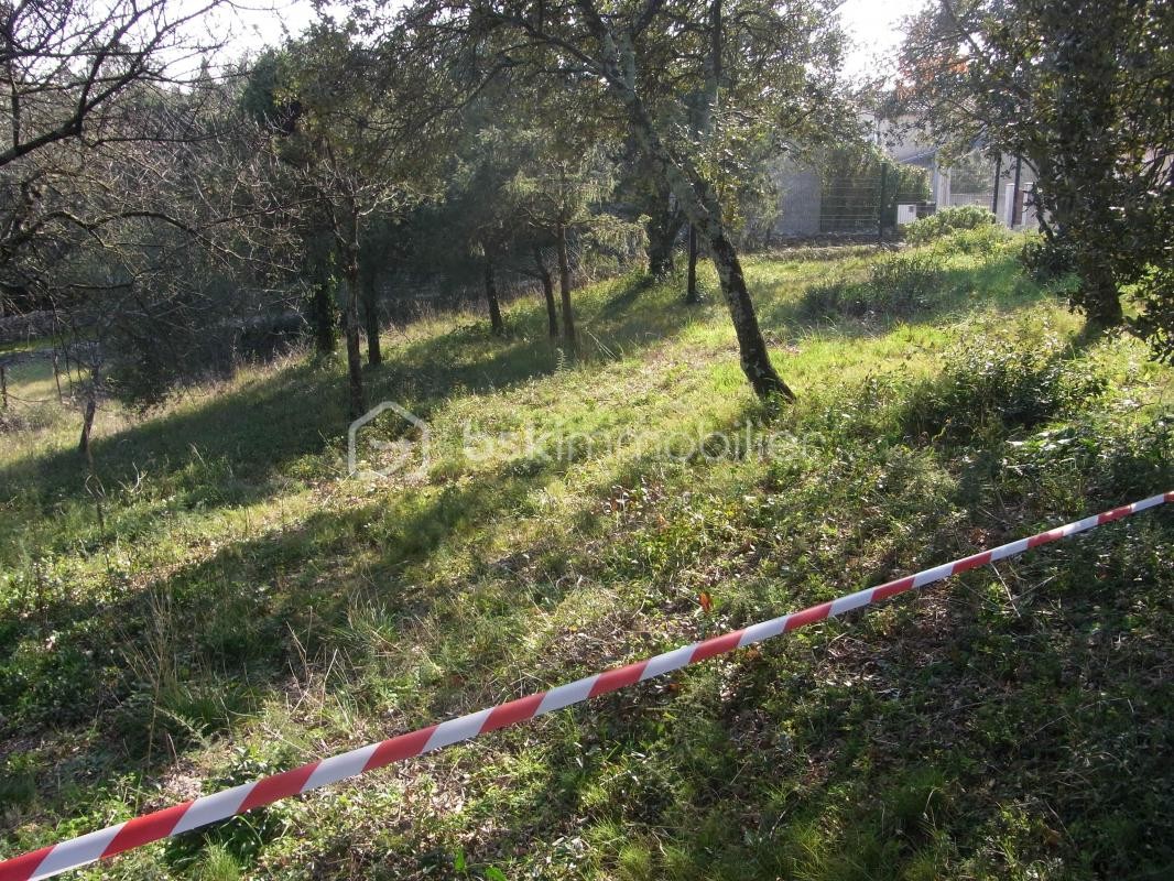 Vente Terrain à Castillon-du-Gard 0 pièce