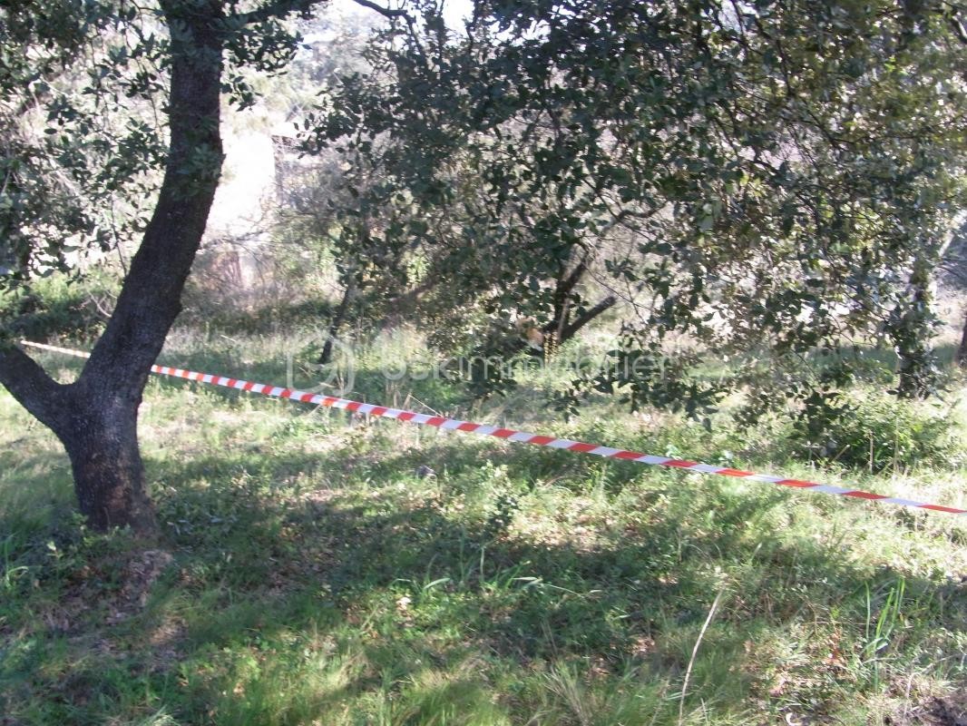 Vente Terrain à Castillon-du-Gard 0 pièce