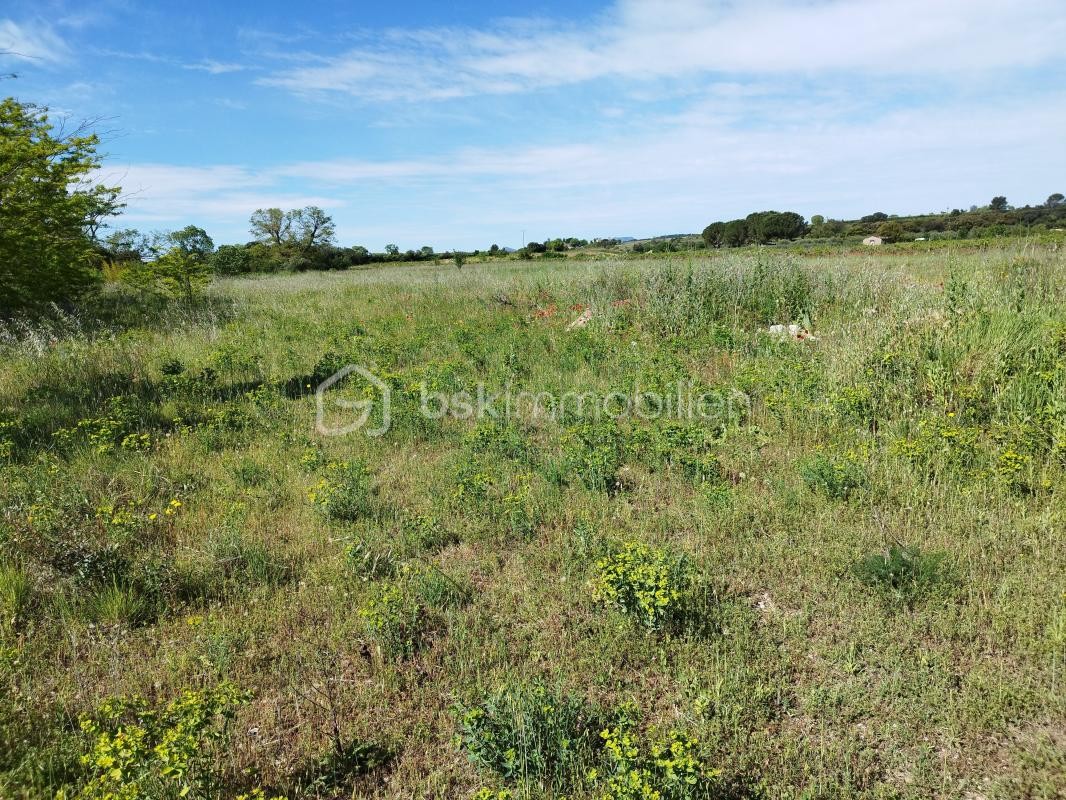 Vente Terrain à Saint-Jean-de-Fos 1 pièce