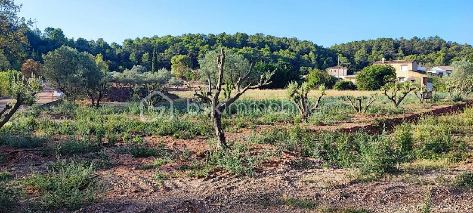 Vente Terrain à Clermont-l'Hérault 0 pièce