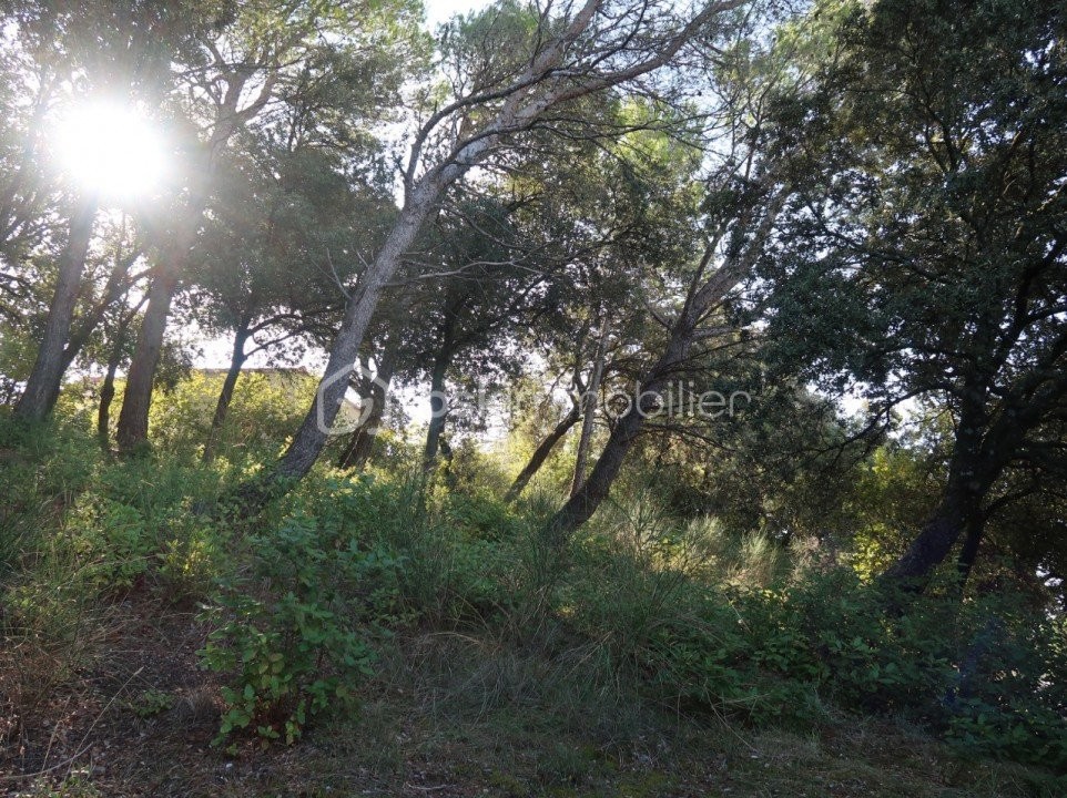 Vente Terrain à Bollène 0 pièce