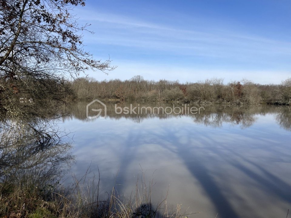 Vente Maison à la Ferté-Saint-Cyr 10 pièces