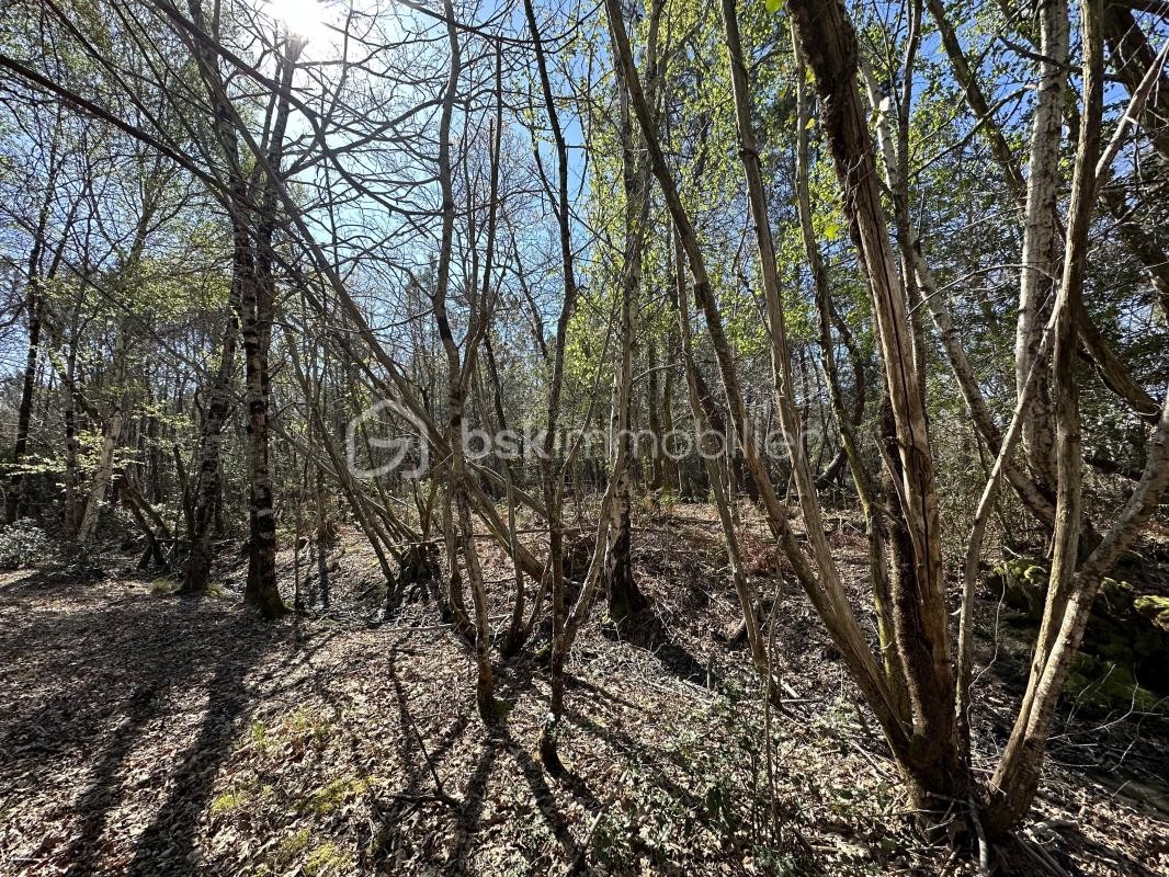 Vente Terrain à Hourtin 0 pièce