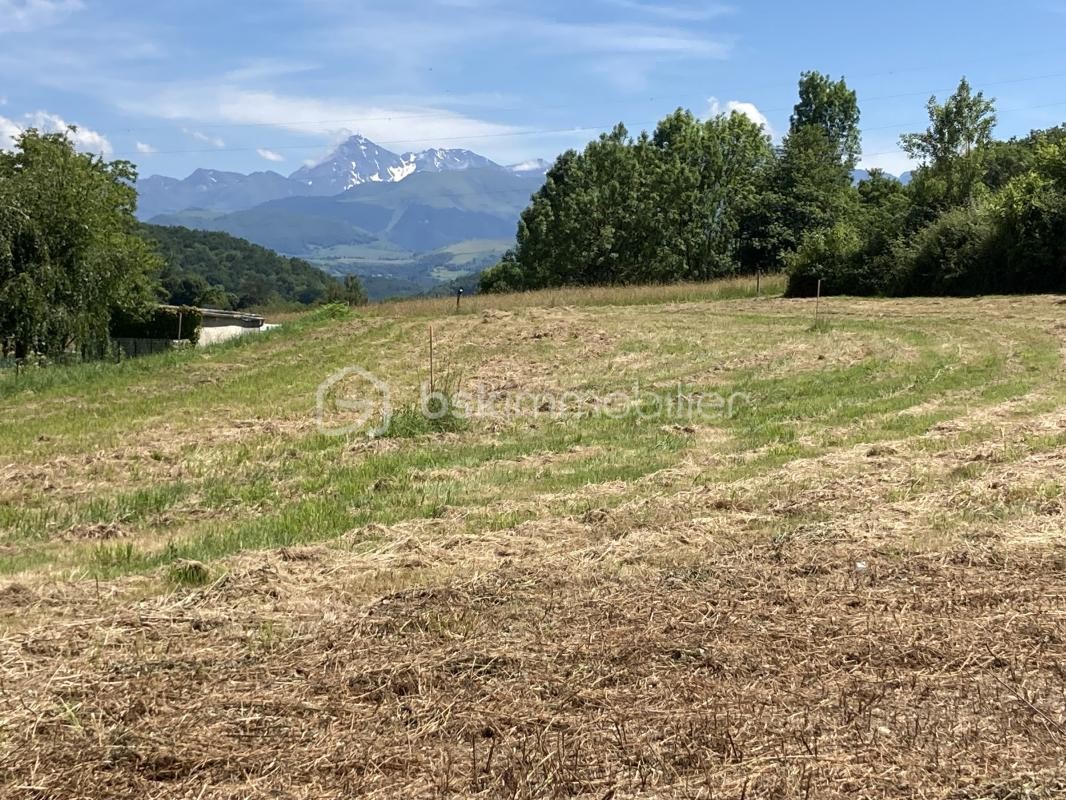 Vente Terrain à Ossun 0 pièce