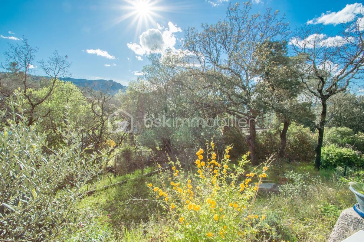 Vente Maison à Brignoles 6 pièces