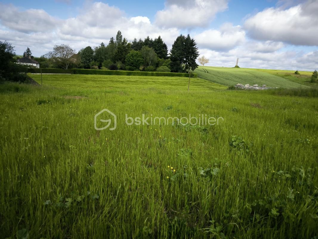 Vente Terrain à Montoire-sur-le-Loir 0 pièce