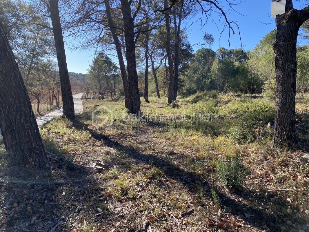 Vente Terrain à Aix-en-Provence 0 pièce