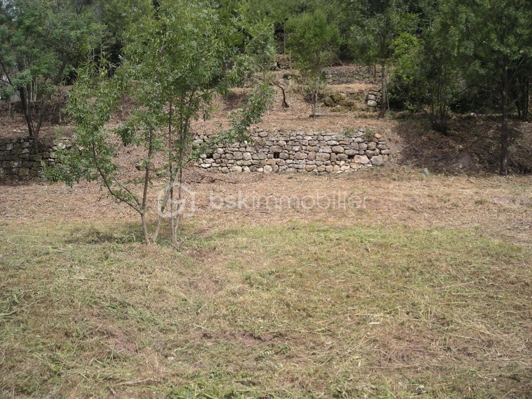 Vente Terrain à Lodève 0 pièce