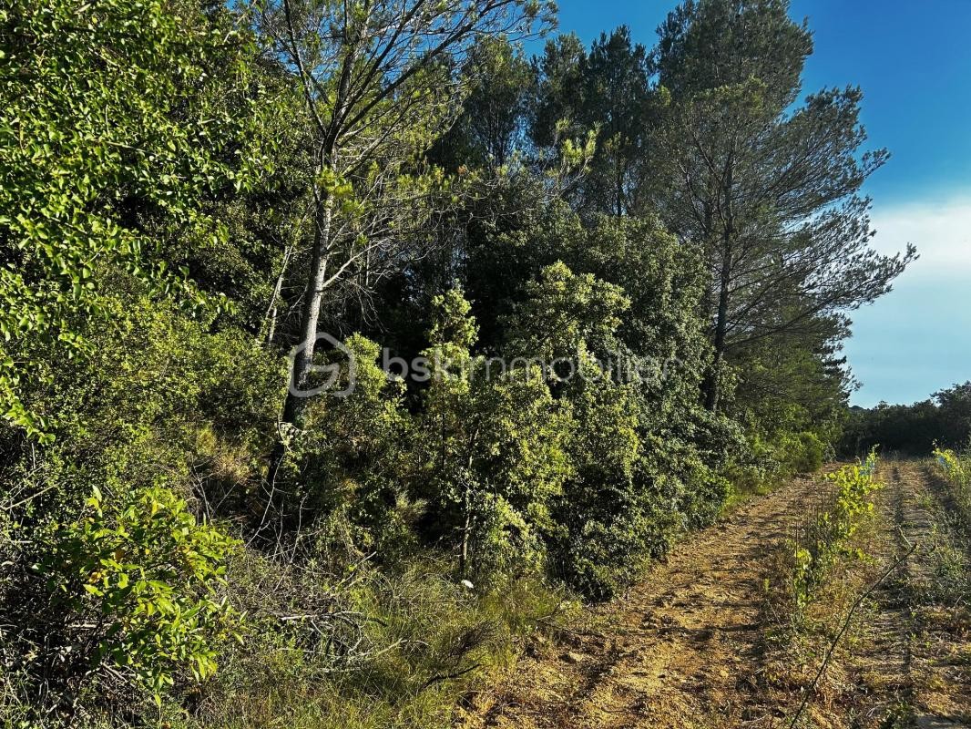 Vente Terrain à Gignac 0 pièce