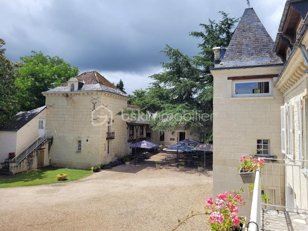 Vente Maison à Beaumont-en-Véron 30 pièces