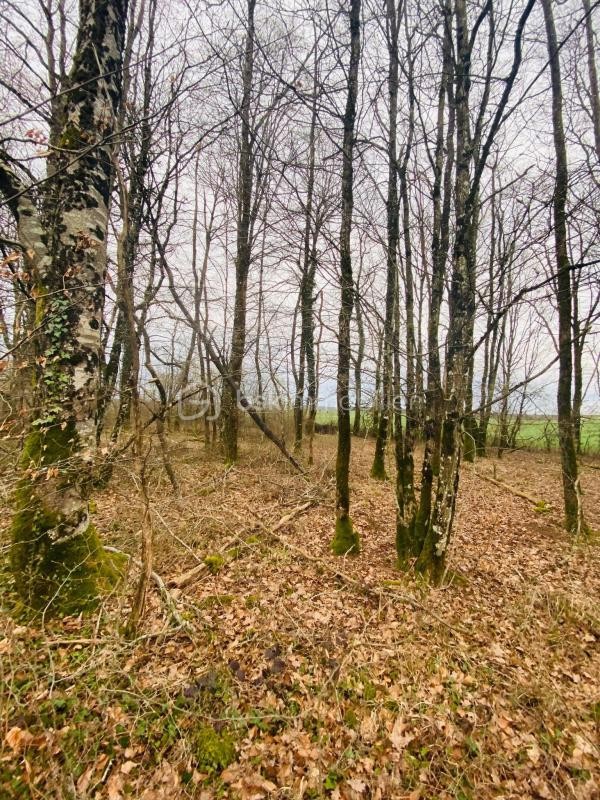 Vente Terrain à Chaumont 0 pièce