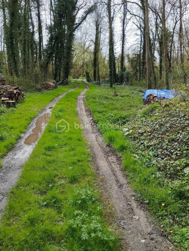 Vente Terrain à Moreuil 0 pièce