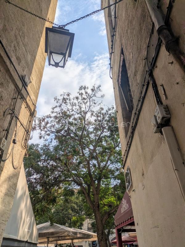 Vente Appartement à Montpellier 2 pièces