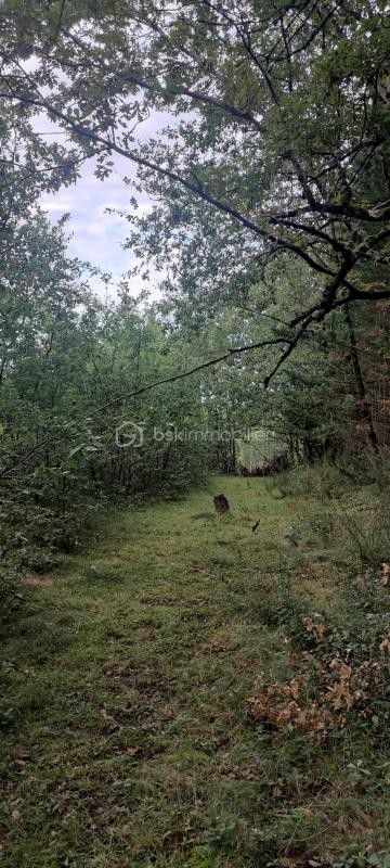 Vente Terrain à Montdurausse 0 pièce