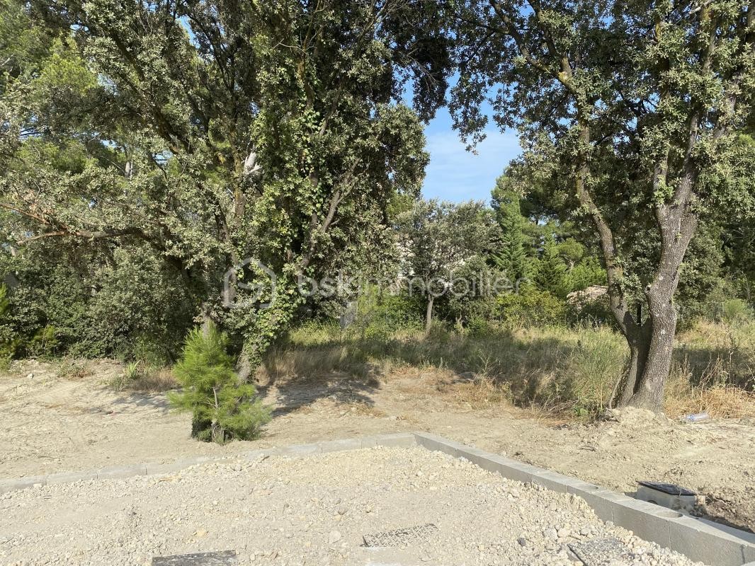 Vente Terrain à Châteauneuf-de-Gadagne 0 pièce