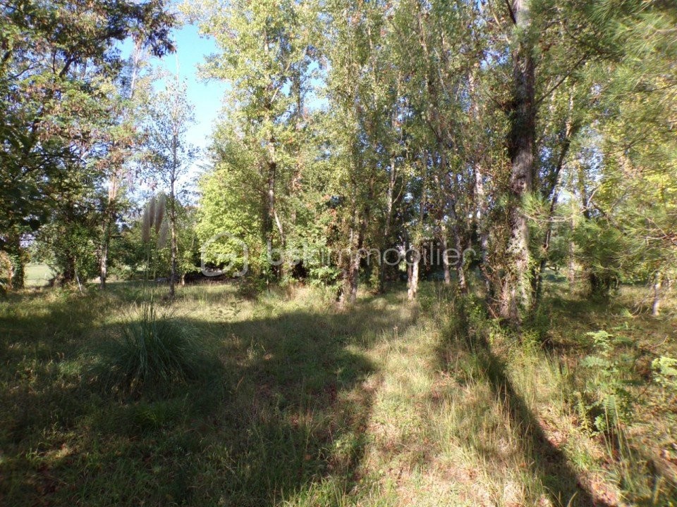 Vente Terrain à Colayrac-Saint-Cirq 0 pièce