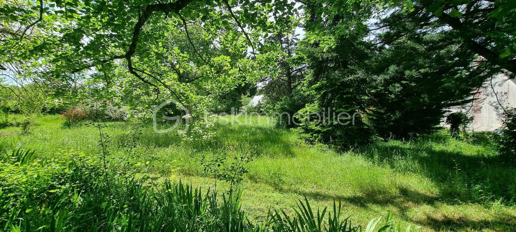 Vente Terrain à Cheillé 0 pièce