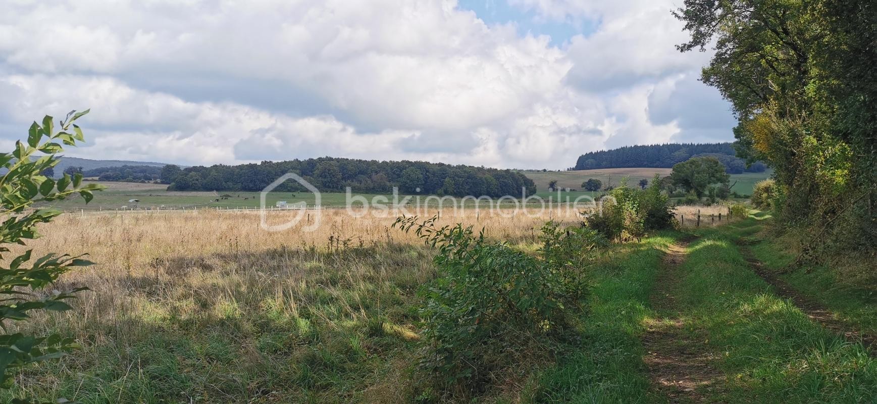 Vente Terrain à Ourouër 0 pièce